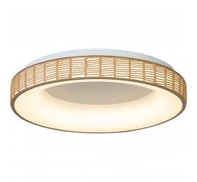 ΟΡΟΦΗΣ ΦΩΤΙΣΤΙΚΟ LED-ΠΛΑΦΟΝΙΕΡΑ-ΚΩΔ. FORTE-60-Y