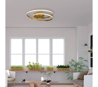 InLight Πλαφονιέρα οροφής LED 36W 3000K από αλουμίνιο σε μαύρη απόχρωση D:45cm (42027-BL)