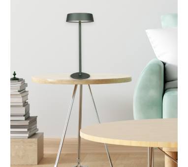 InLight Επιτραπέζιο επαναφορτιζόμενο φωτιστικό 3CCT σε καφέ απόχρωση (3030-Brown)