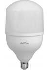 JUST LED JUSTLed-LED Bulb T100/E27/30W/6000K/3000Lm  (B271030013)