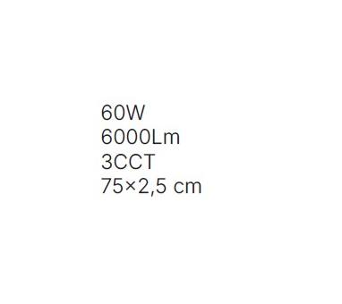 Inlight Πλαφονιέρα οροφής LED 60W 3CCT (by switch on base) σε ασημί απόχρωση D:75x2,5cm (42036-AA-Silver)